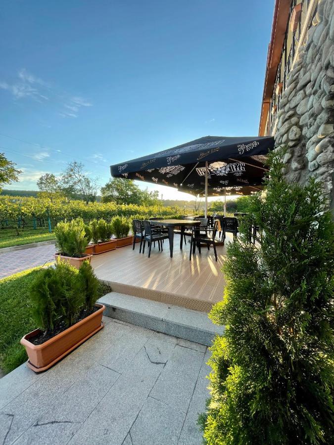 Tsinandali Resort & Spa Buitenkant foto